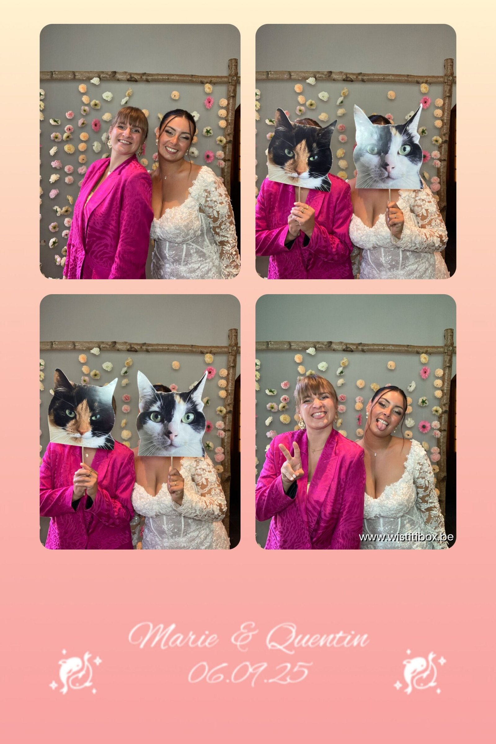 47968015_m_2529732-dddimage_1757170709.9333792