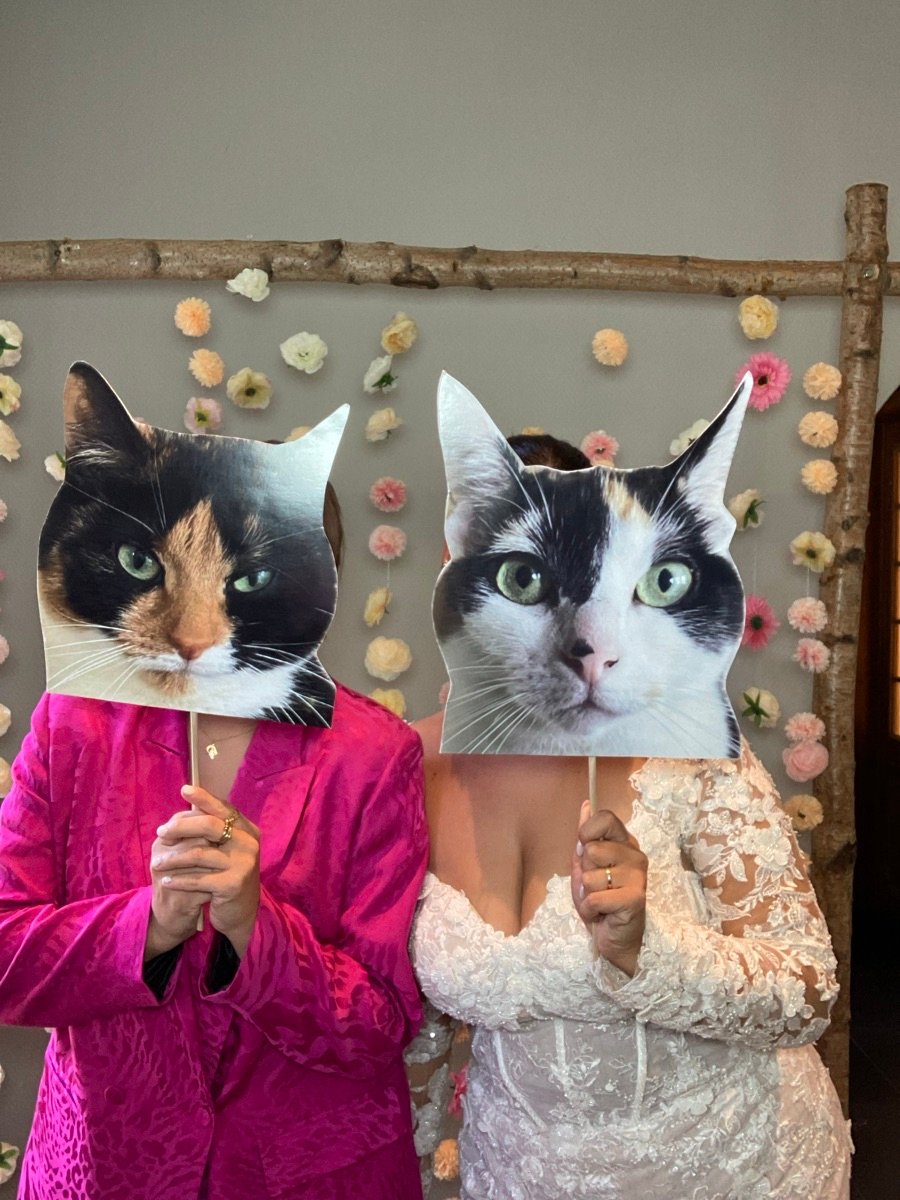 47968018_2529732-dddimage_1757170709.7648191