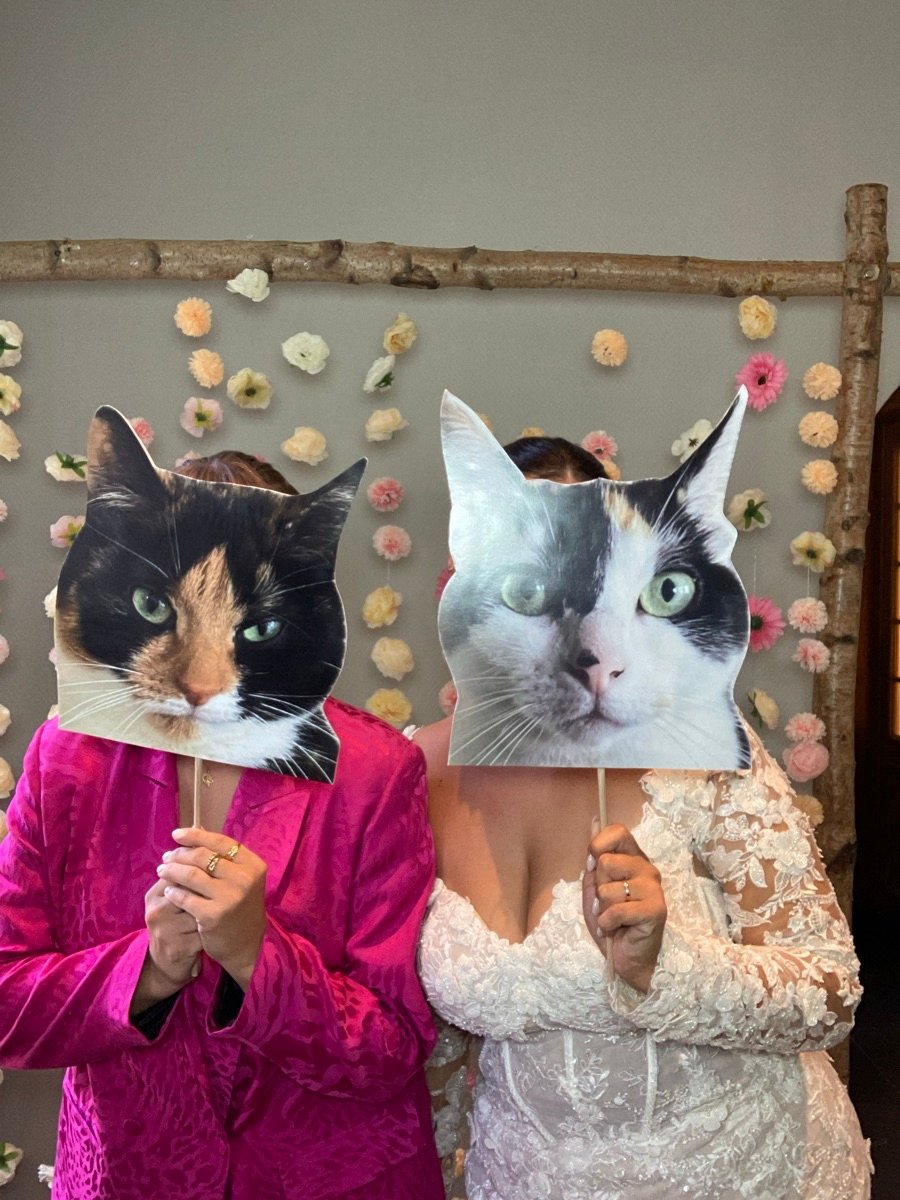 47968019_2529732-dddimage_1757170709.630506