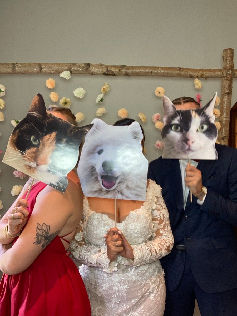 47968501_2529780-dddimage_1757171131.900404