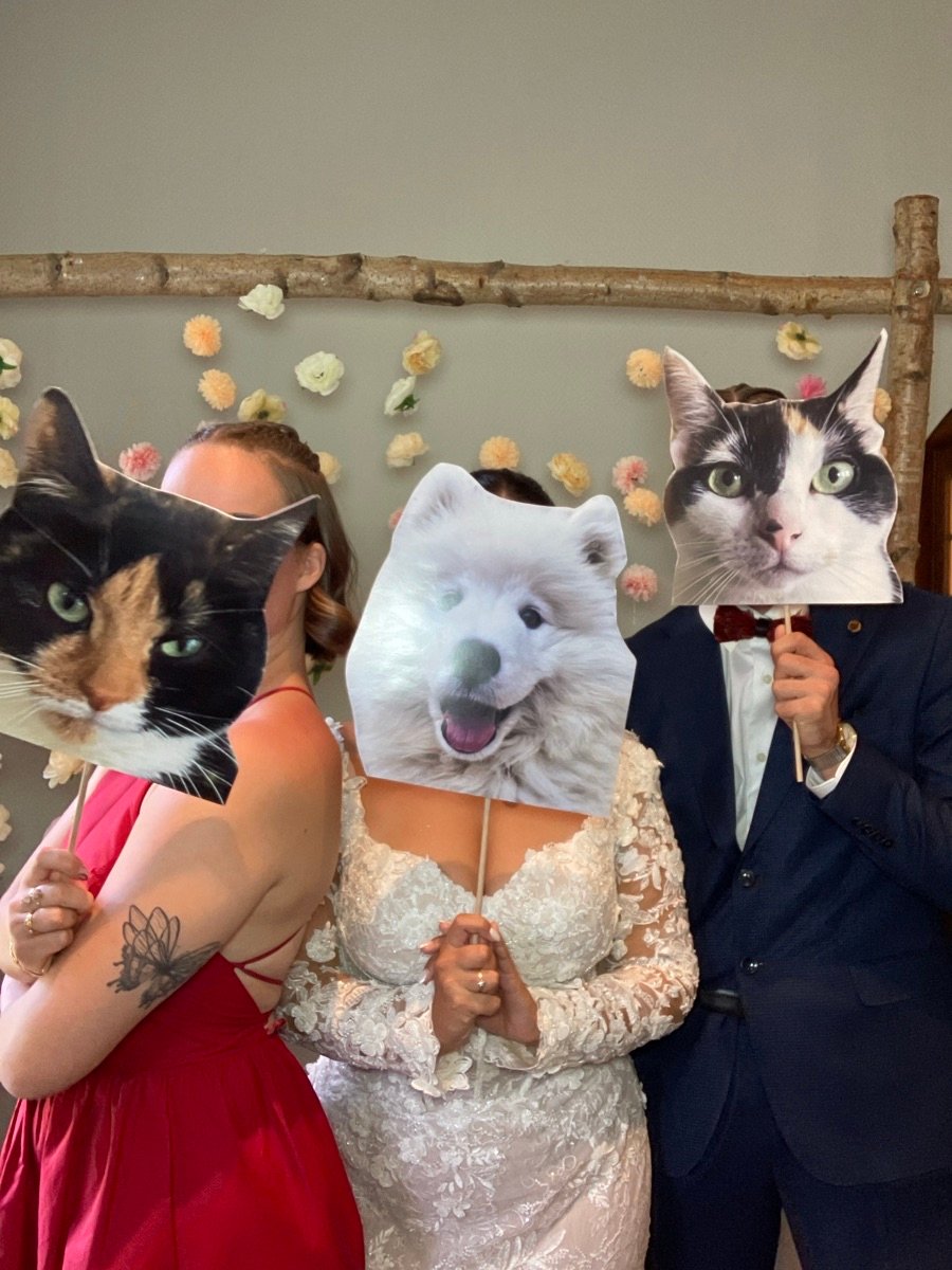 47968502_2529780-dddimage_1757171131.7861872