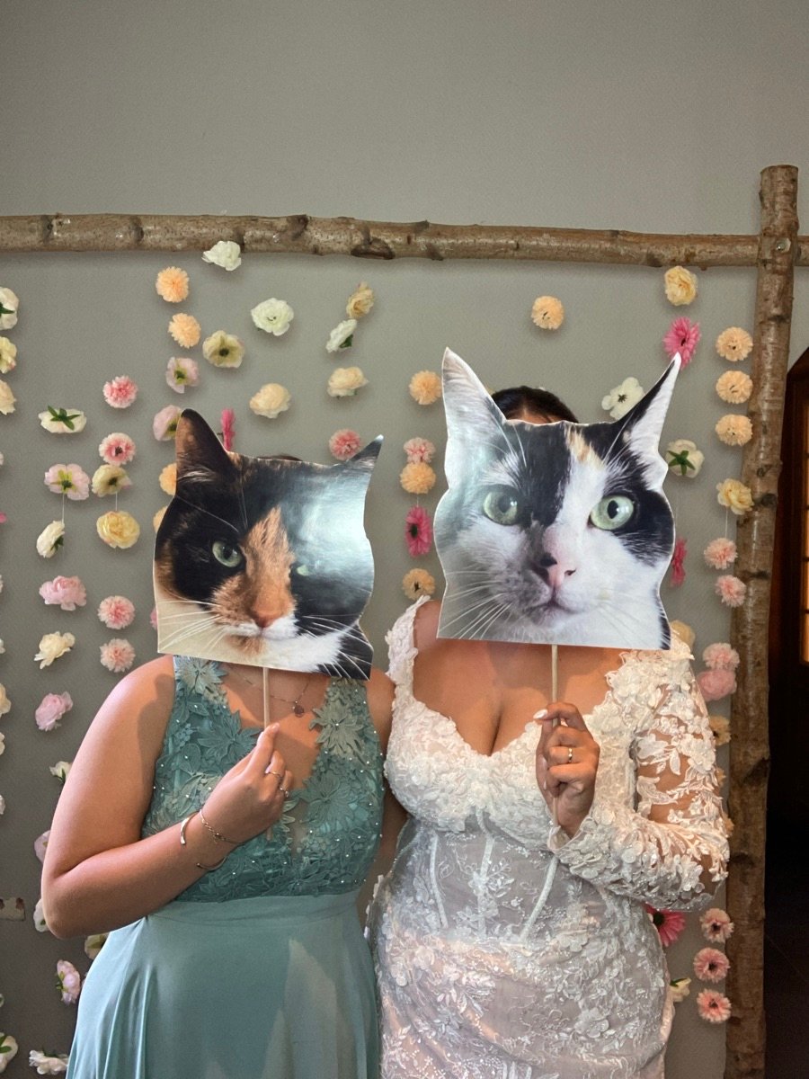 47968677_2529798-dddimage_1757171274.6462379